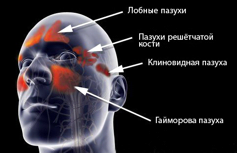 Глазной врач николаев
