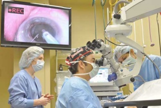 Городская клиника 1 в курске по операции катаракта телефоны