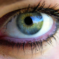 Глазные клиники армикс