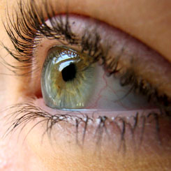 Глазные клиники армикс