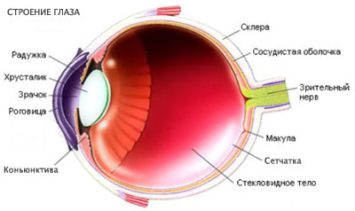 Клиника по лечению глаз в тюмеги