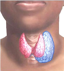 Онкология щитовидной железы брянск обл больница