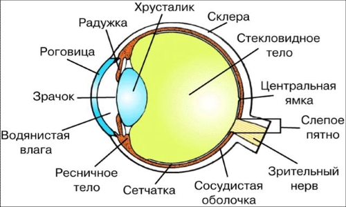 Как измеряют глазное давление в клинике микрохирургия глаза в туле