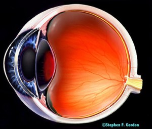 Компенсации после операции на глазах